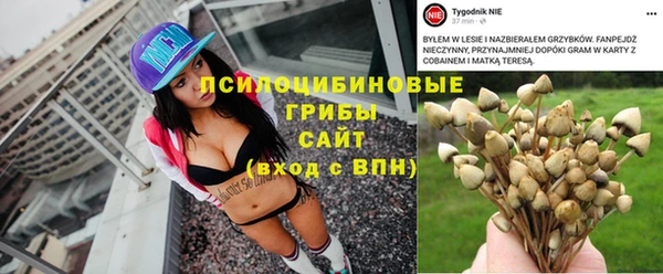стафф Бронницы
