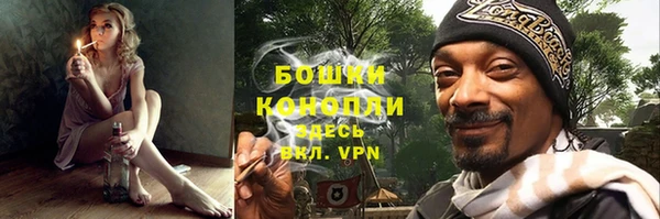 стафф Бронницы