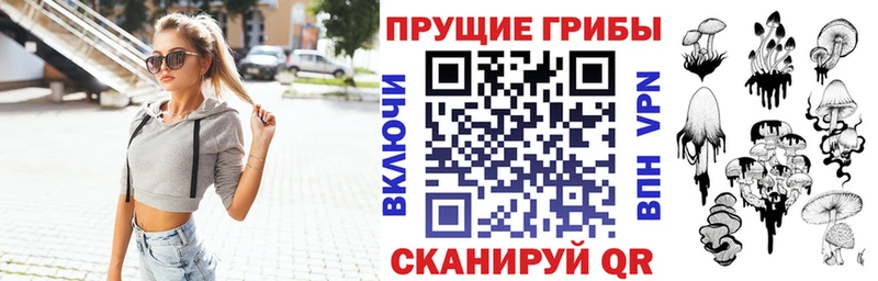 Псилоцибиновые грибы Psilocybine cubensis Константиновск