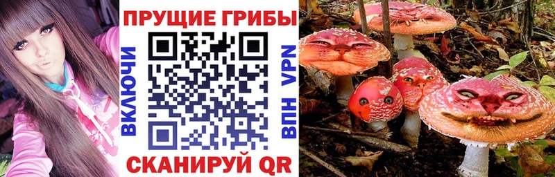 закладка  Константиновск  ссылка на мегу ссылки  Галлюциногенные грибы прущие грибы 